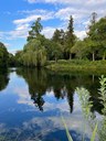 La natura a Pordenone. Foto di Gianpiero Capra (05/08/2022)