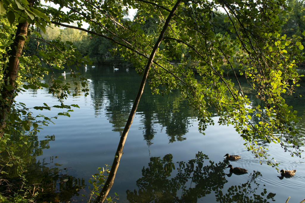 Parco dei Laghetti di Rorai