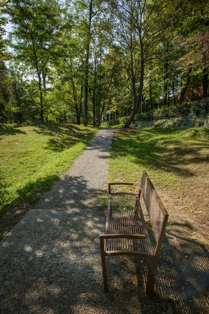 Parco Querini