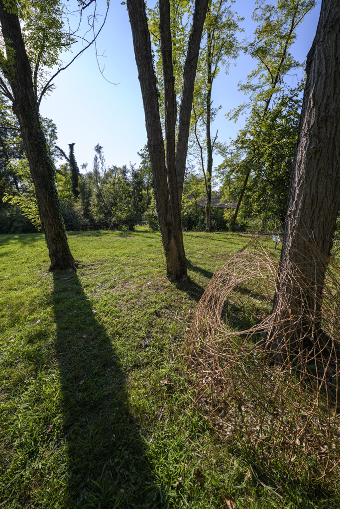 Parco Terme Romane