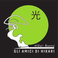 Gli Amici di Hikari