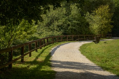 Chiusura dell'intero parco San Carlo