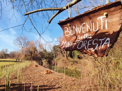 "Mini foresta" Miyawaki al parco del Seminario