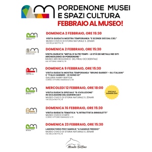 Musei Civici di Pordenone - Febbraio 2025 - Società Mondo Delfino Cooperativa Sociale - Musei_box.png