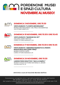 Musei Civici di Pordenone - Novembre 2024 - Società Mondo Delfino Cooperativa Sociale - Musei.png